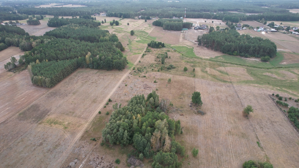 Działki rolne 3000 m²  w Olszewce w gm. Lelis