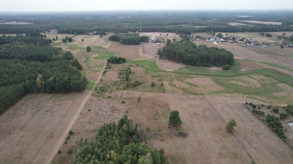 Działki rolne 3000 m²  w Olszewce w gm. Lelis
