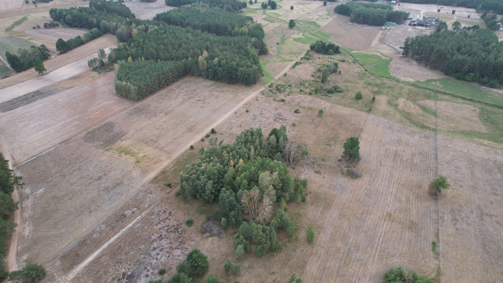 Działki rolne 3000 m²  w Olszewce w gm. Lelis