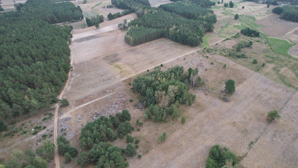 Działki rolne 3000 m²  w Olszewce w gm. Lelis