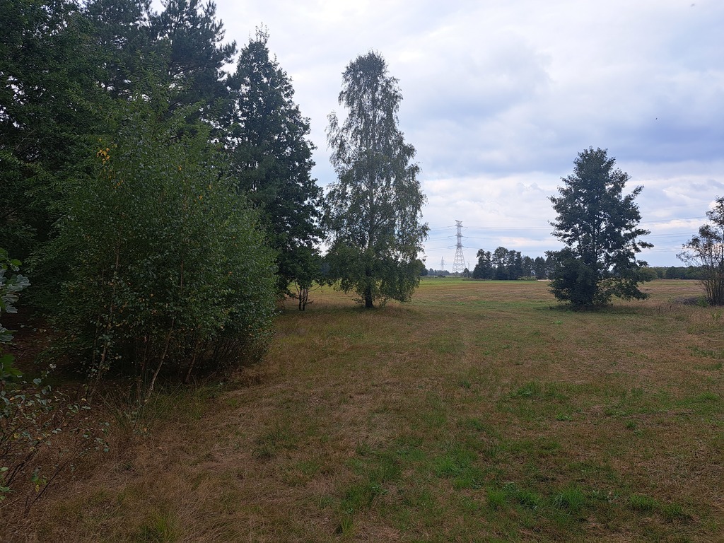 Działki rolne 3000 m²  w Olszewce w gm. Lelis
