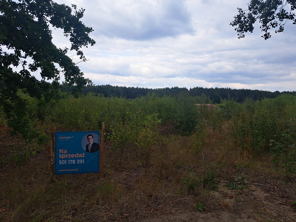 Działki rolne 3000 m²  w Olszewce w gm. Lelis