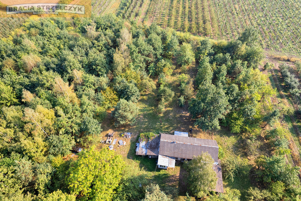 Działka z siedliskiem - Pniewy Grójec