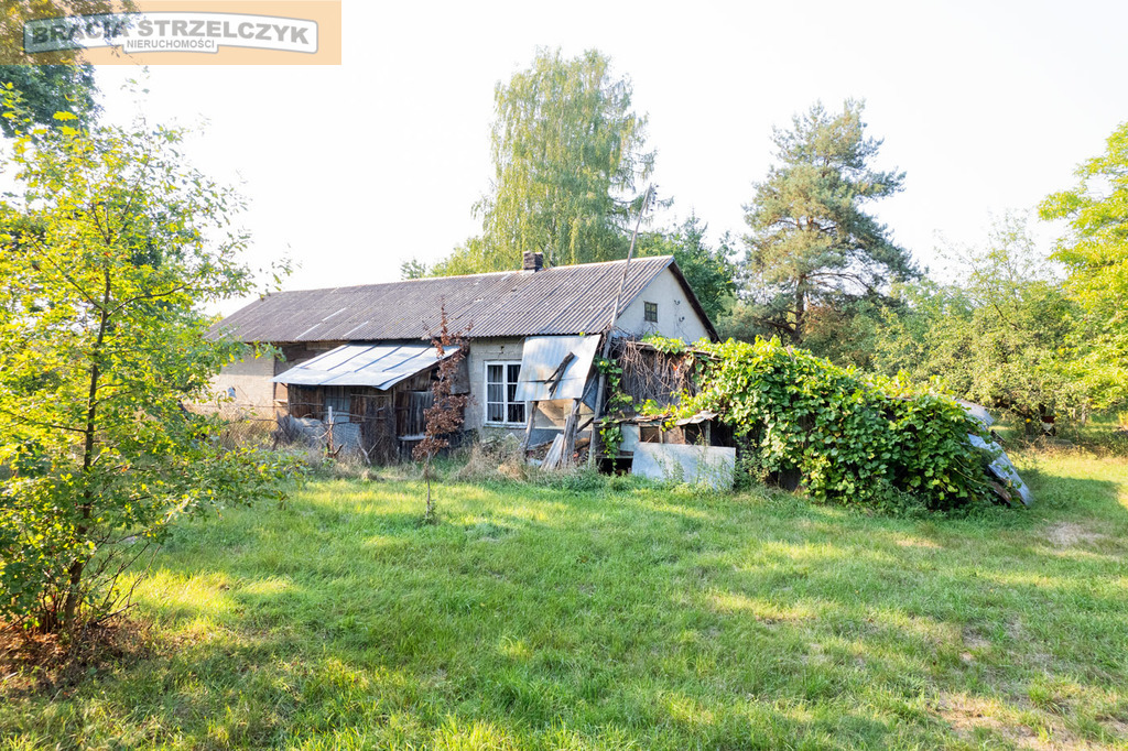 Działka z siedliskiem - Pniewy Grójec