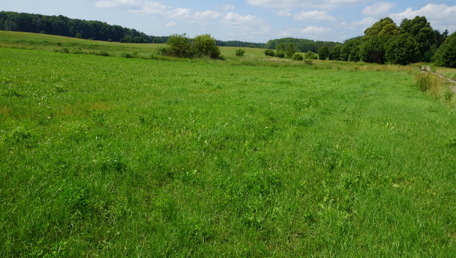 Działka 34.4977ha,m.Bobolice,las,oczko wodne,dr .