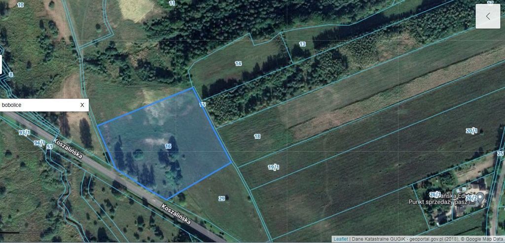 Działka 34.4977ha,m.Bobolice,las,oczko wodne,dr .