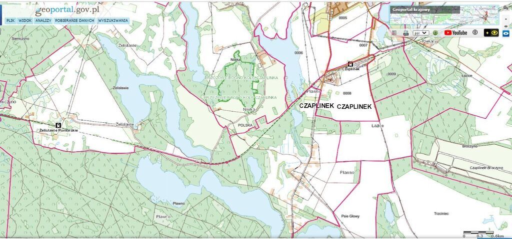 Dz.1.6389ha,Żelisławie,gmCzaplinek,J.Kaleńskie,las