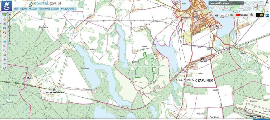 Dz.1.2334ha,Żelisławie,gmCzaplinek,J.Kaleńskie,las