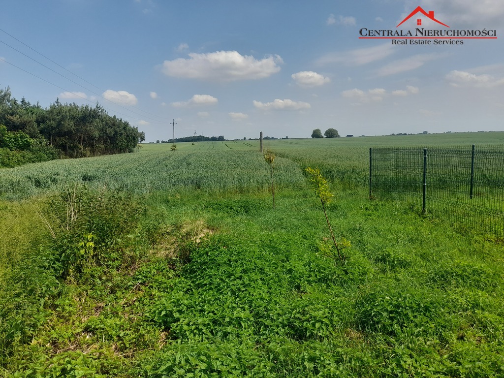 Działka w Złejwsi Wielkiej o pow. 1256m2