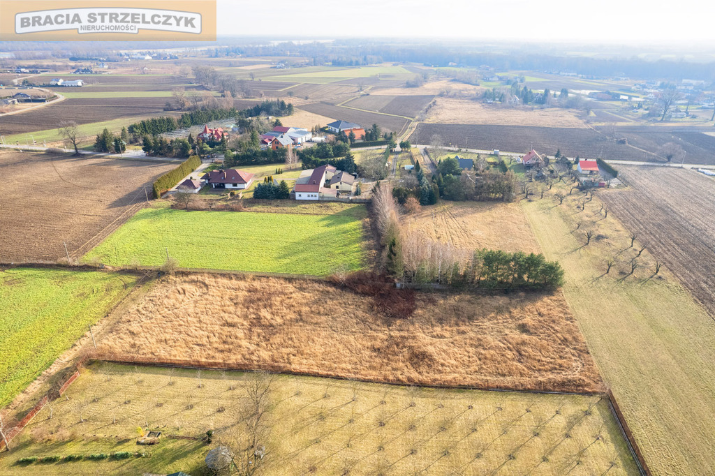 Działka 5001 m2 Kępa Okrzewska gm. Konstancin