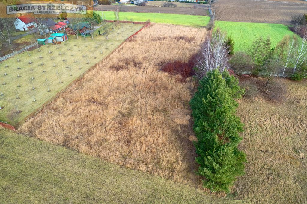 Działka 5001 m2 Kępa Okrzewska gm. Konstancin