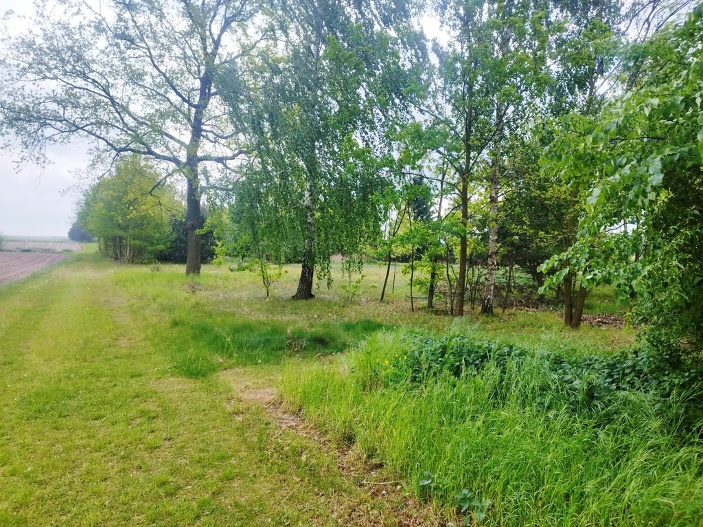 Działka budowlano-rolna, okolice Głowna