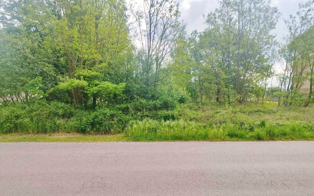 Działka budowlano-rolna, okolice Głowna