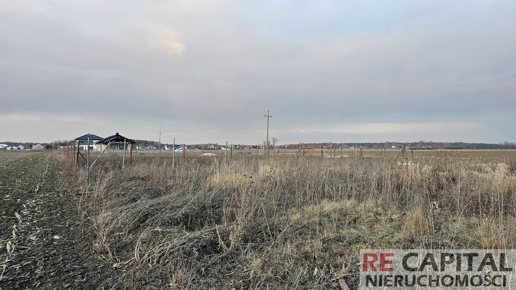 Działka budowlana dobra jako inwestycja Zaborówek