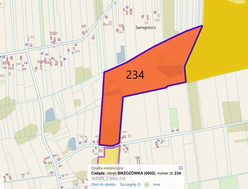 Działka rolna - Brzozówka, gmina Cielądz