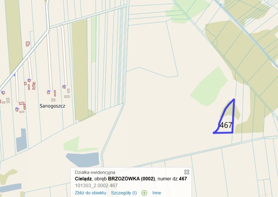 Działka rolna - Brzozówka, gmina Cielądz