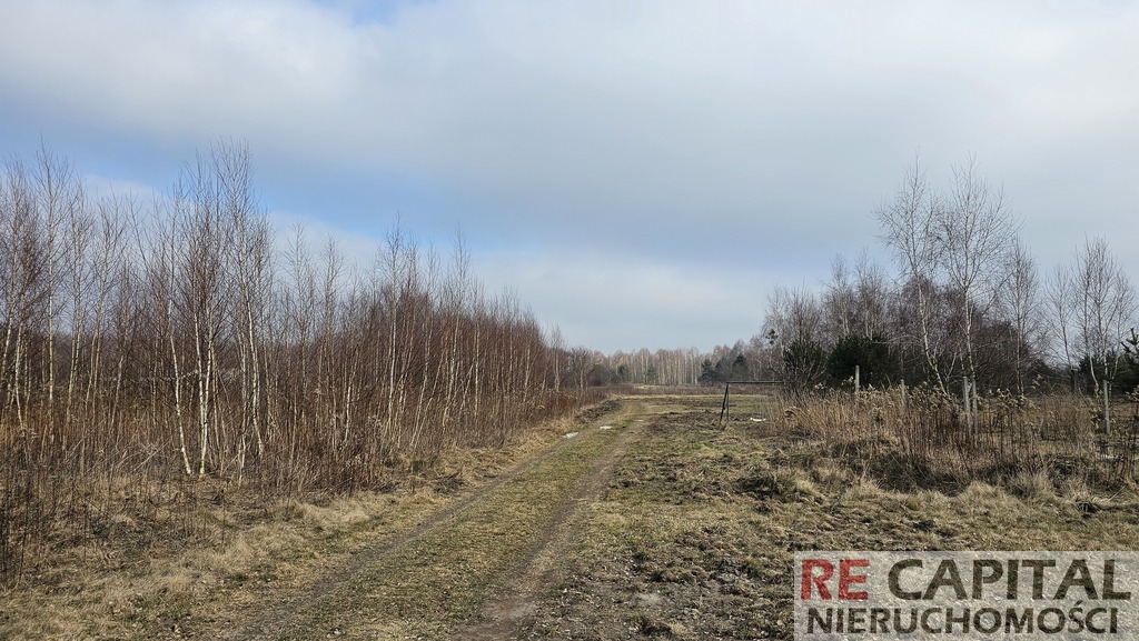 Lipków piękna działka 1500m2 tuż pod Kampinosem