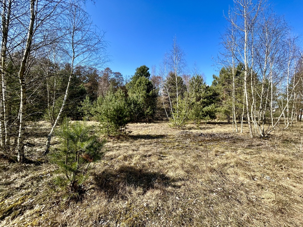 Twój prywatny park w sercu Solca Kujawskiego