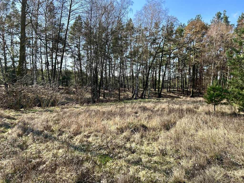 Twój prywatny park w sercu Solca Kujawskiego