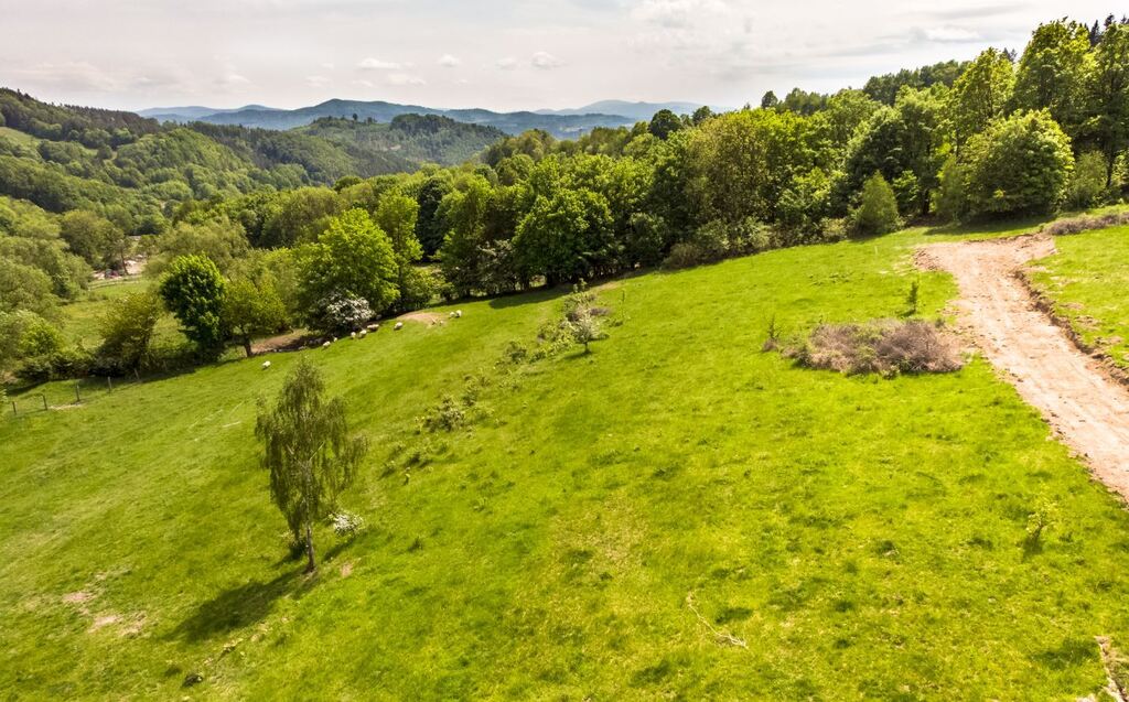 Działka - 15 arów, Wilcza -Kłodzko