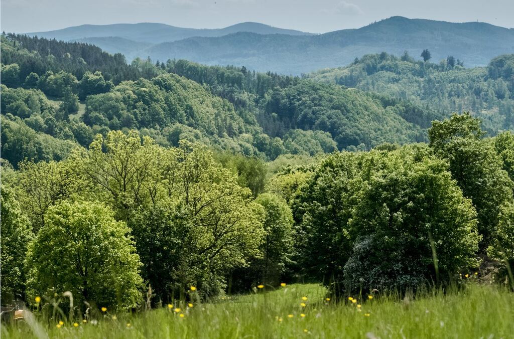 Działka - 15 arów, Wilcza -Kłodzko