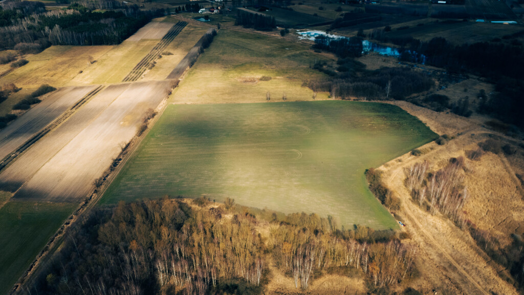 Zainwestuj w Brzozówkę!