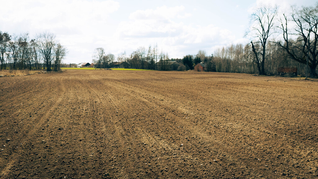 Zainwestuj w Brzozówkę!