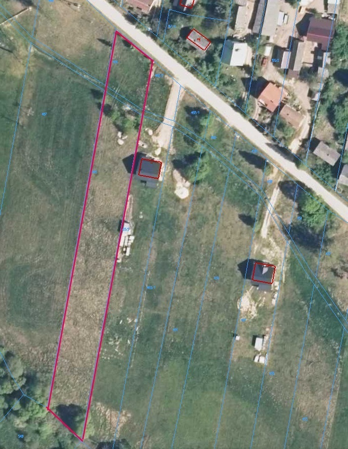 Sarna sąsiadem, Biała Nida za winklem