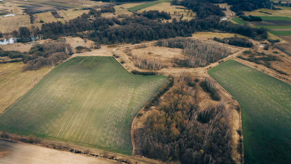 Działka rolna - Brzozówka, gmina Cielądz