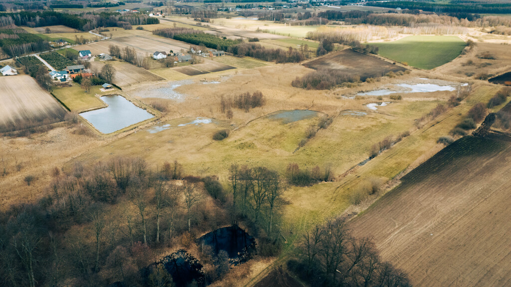 Działka rolna - Brzozówka, gmina Cielądz