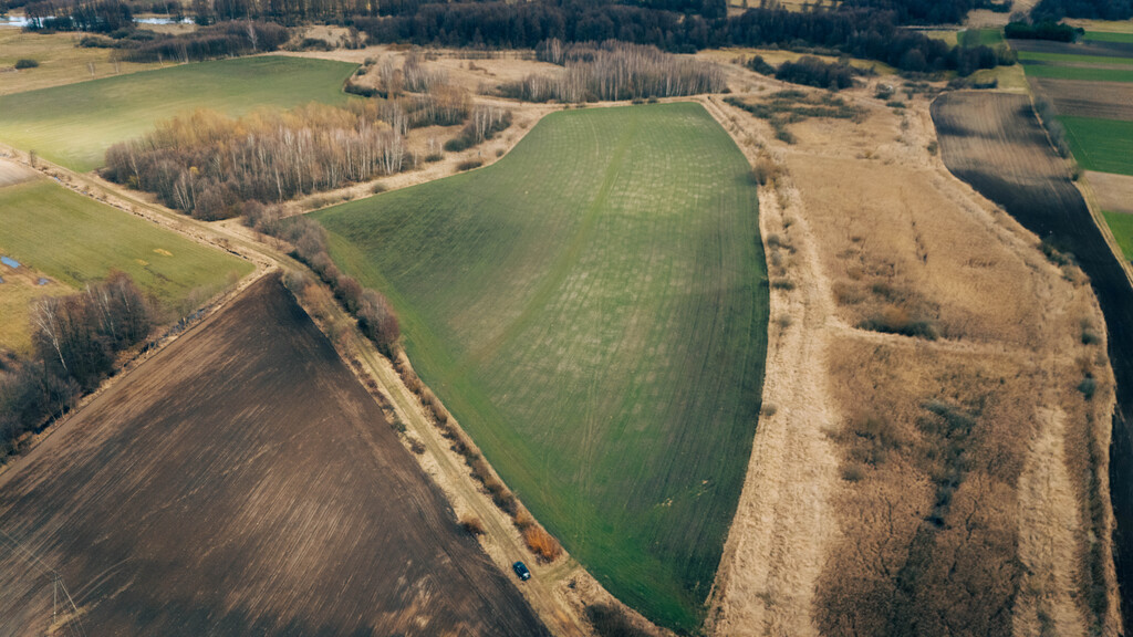 Działka rolna - Brzozówka, gmina Cielądz