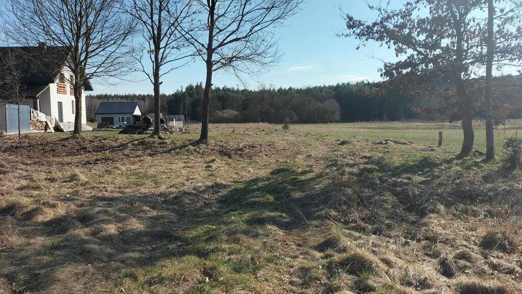 Sarna sąsiadem, Biała Nida za winklem