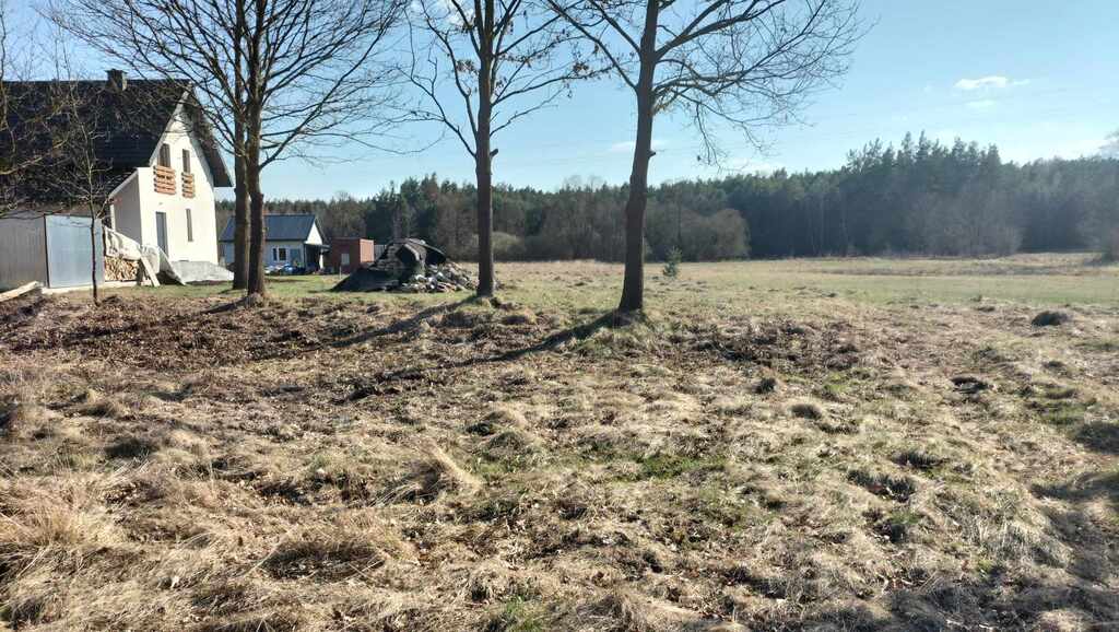 Sarna sąsiadem, Biała Nida za winklem