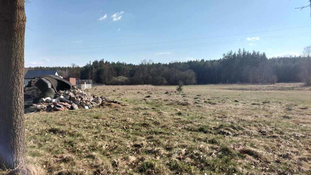 Sarna sąsiadem, Biała Nida za winklem