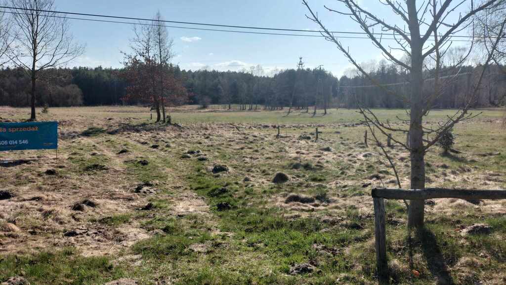 Sarna sąsiadem, Biała Nida za winklem