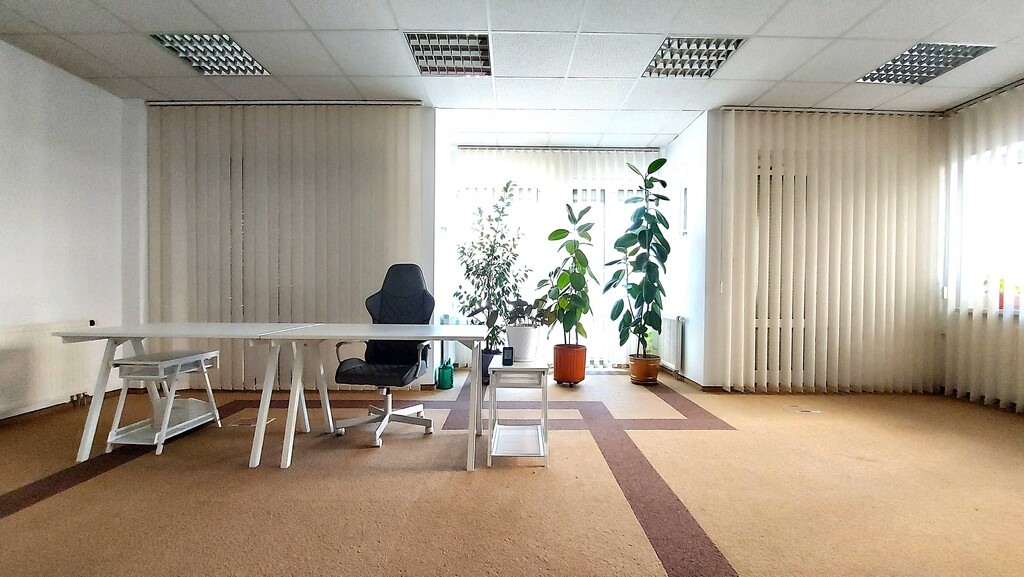 Jasny lokal biurowy w centrum miasta do wynajęcia