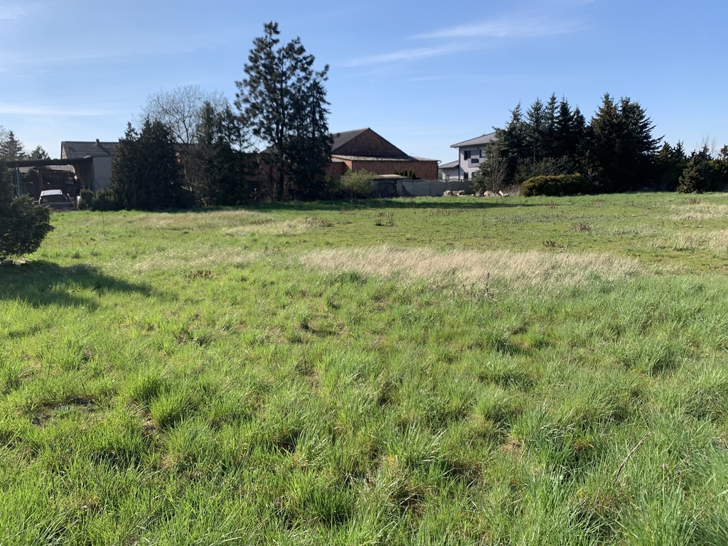 Działka 3856 m² z WZ - idealna pod inwestycję