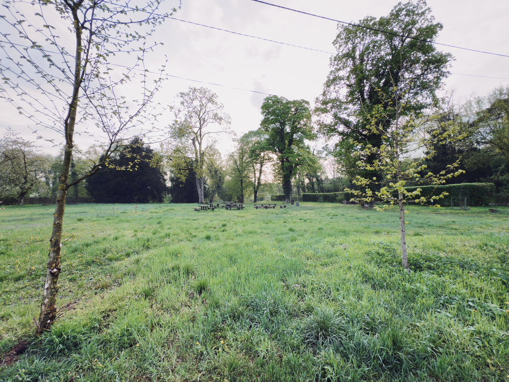 Historia i natura – mieszkania w Lewicach