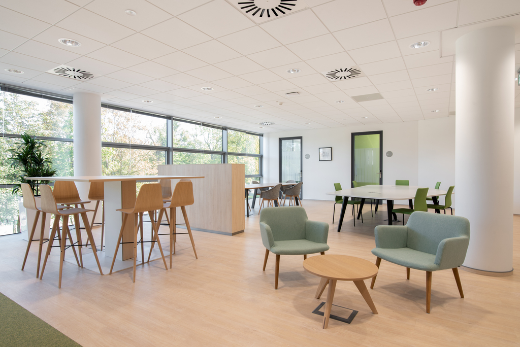 Biurową na planie otwartym.