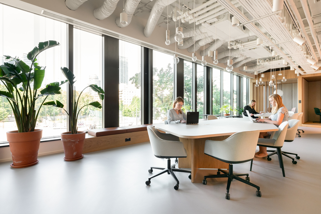 Dostosowana pod kątem zespołów liczących 10-15