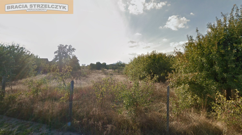 Okazja! Siedlisko obok Nowego Miasta n. Pilicą