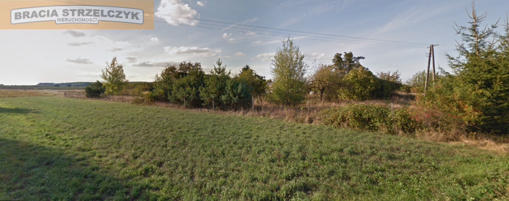 Okazja! Siedlisko obok Nowego Miasta n. Pilicą