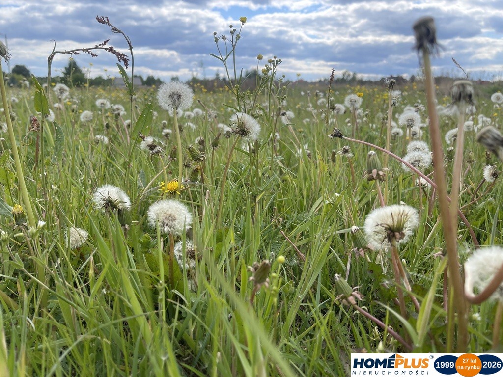 Atrakcyjna nieruchomość o pow. 41 902  m².