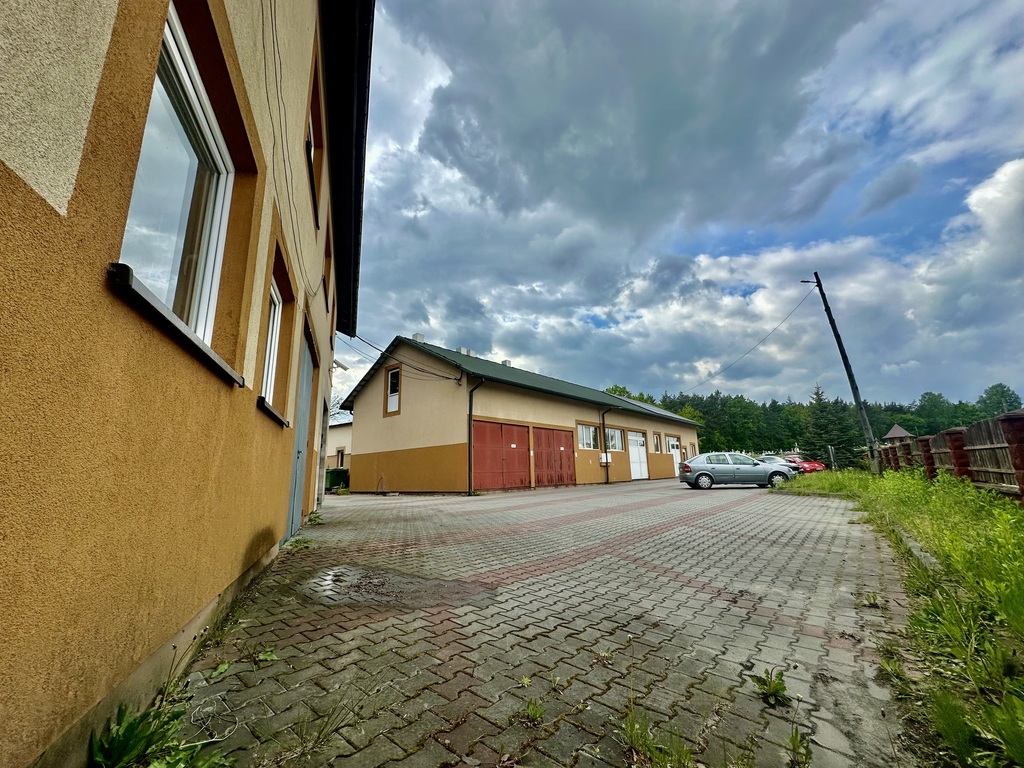 Sprzedaż: obiekt produkcyjno-magazynowy, Dzikowiec