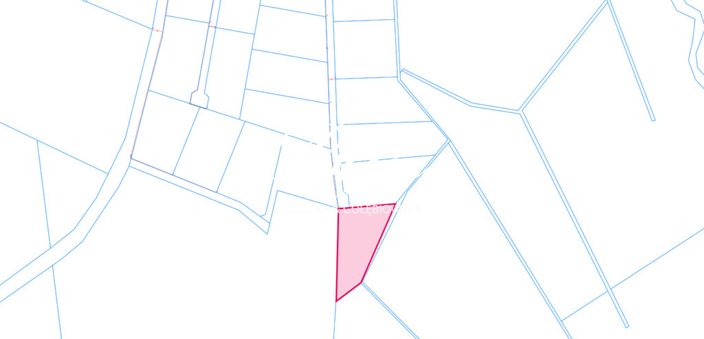 Działka w sąsiedztwie przyrody - Niewiadowo