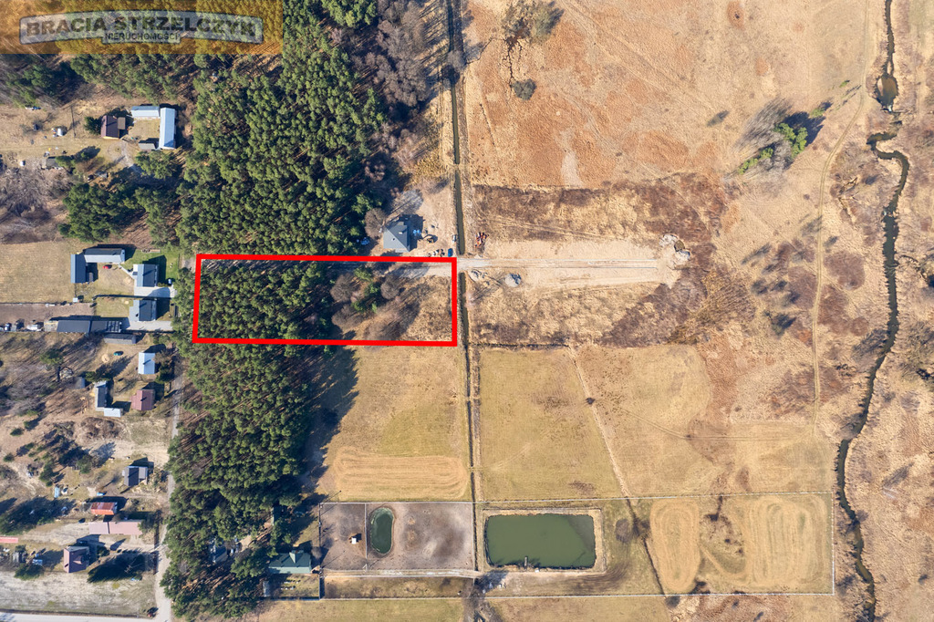 Działka z lasem pod Warszawą