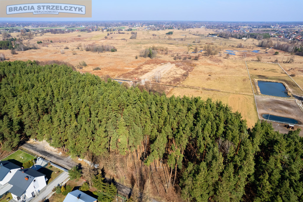 Działka z lasem pod Warszawą