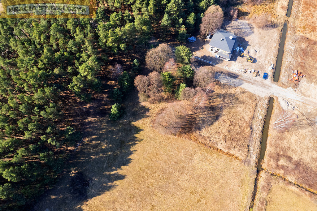 Działka z lasem pod Warszawą