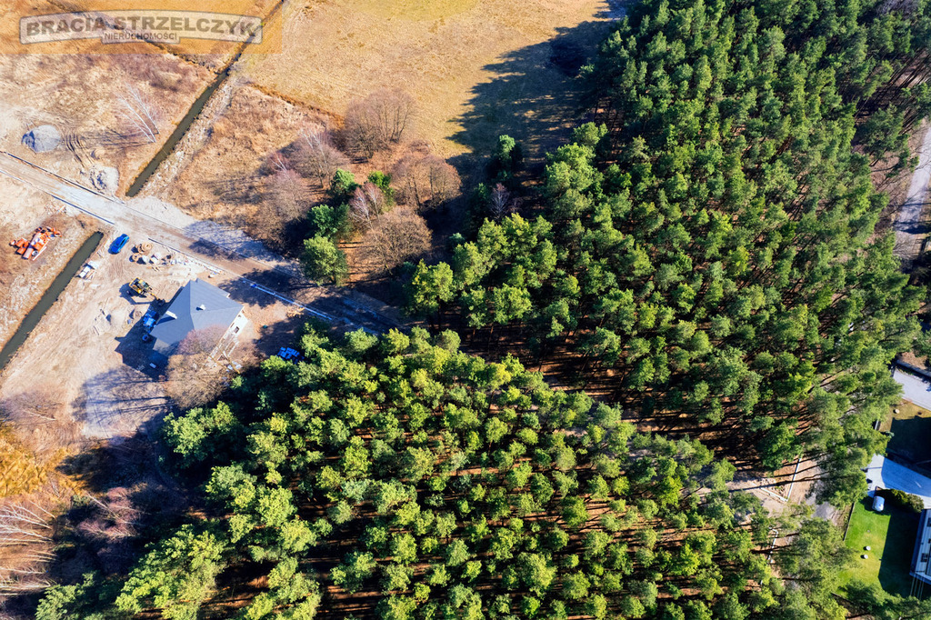Działka z lasem pod Warszawą