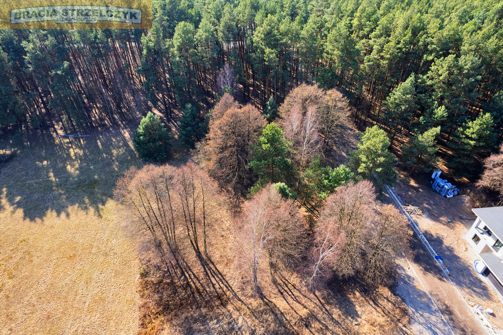 Działka z lasem pod Warszawą